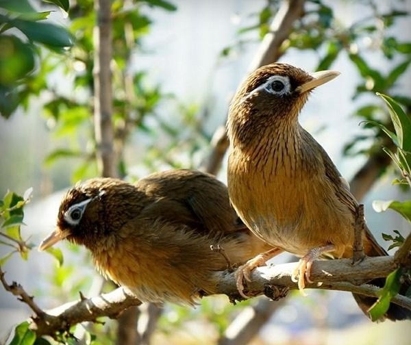 （示意圖源：互聯網）