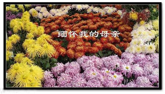 （示意圖源：互聯網）