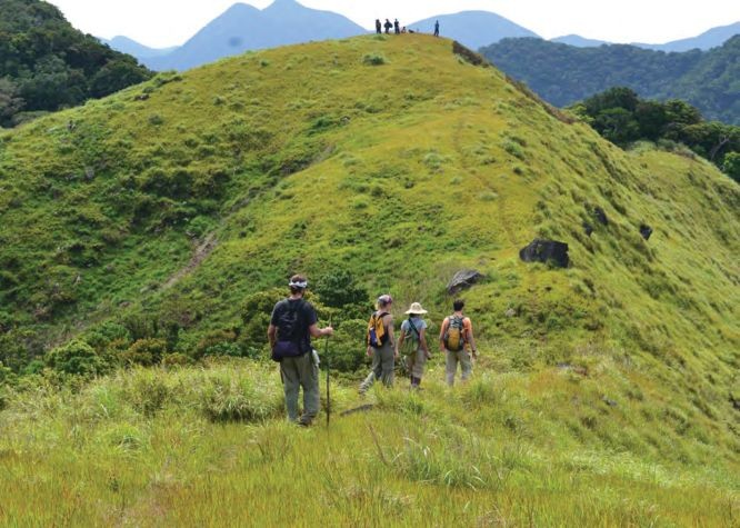 （示意圖源：互聯網）