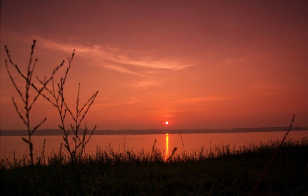 （示意圖源：互聯網） 