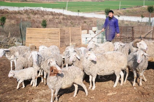 （示意圖源：互聯網） 