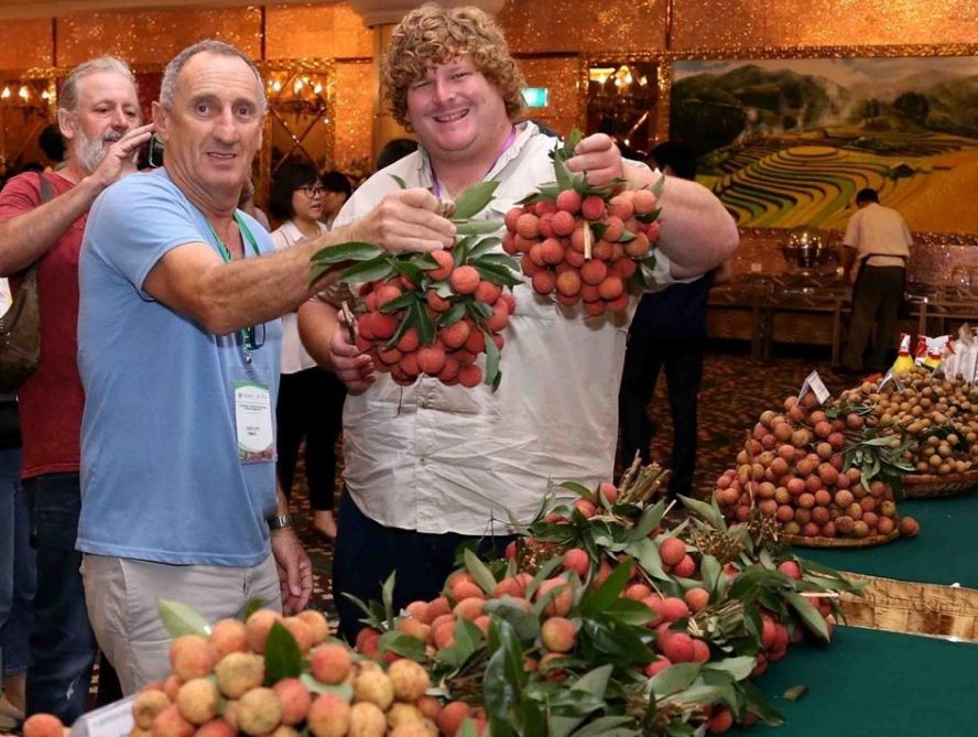 陸岸荔枝滿足美中市場進口條件。（示意圖源：越通社）