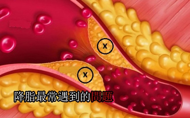 （示意圖源：互聯網） 