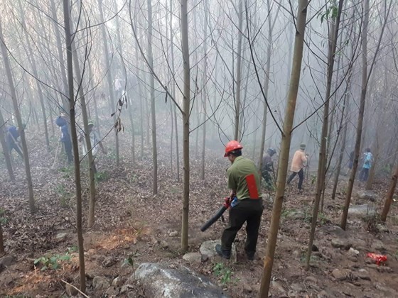 火勢撲滅後的現場。（圖源：阮莊）