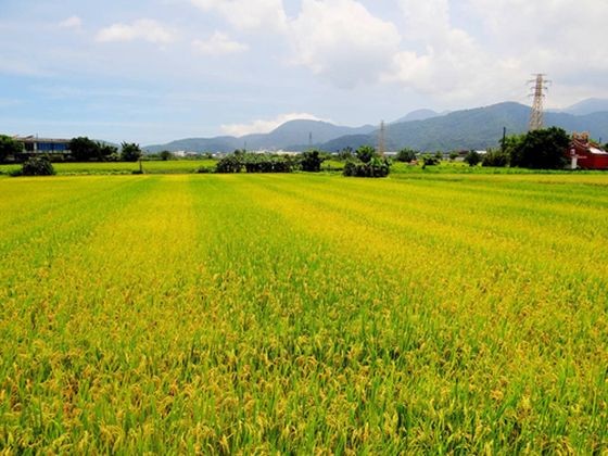 （示意圖源：互聯網）