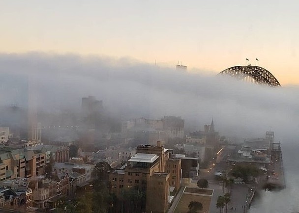 大霧籠罩悉尼。（圖源：互聯網）