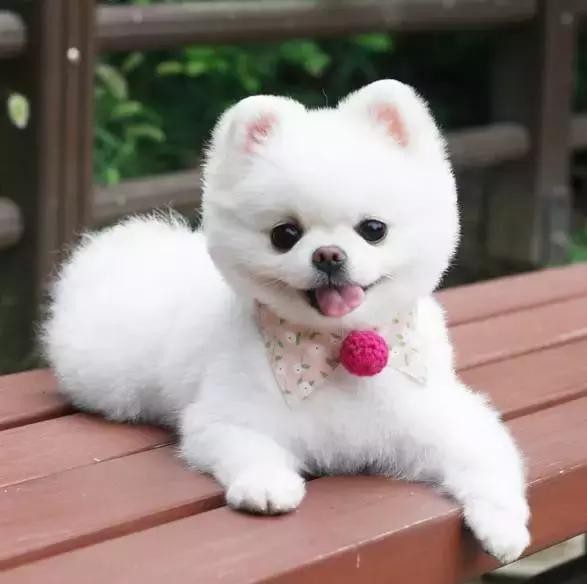 （示意圖源：互聯網） 