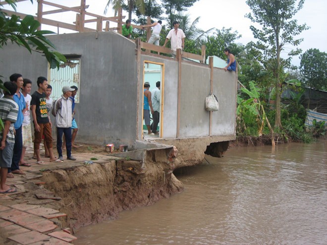 同塔省周城縣安俠鄉安順村河岸坍塌情況更加嚴重，上百戶居民被迫緊急搬遷。（圖源：陳玉）