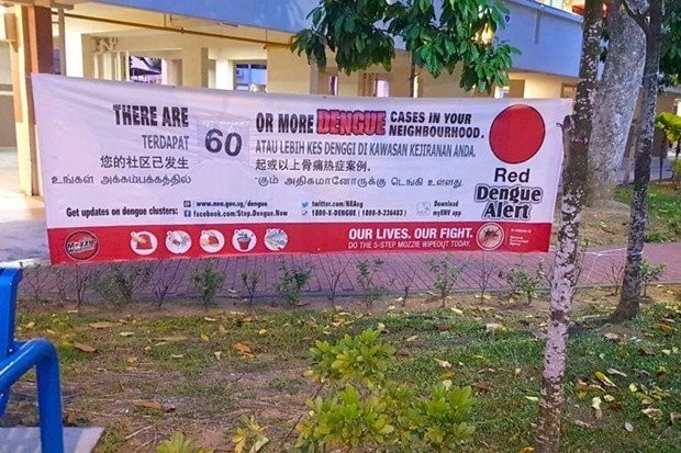 新加坡國家環境局(NEA)發出登革熱疫情警告。（圖源：互聯網）