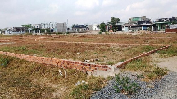 幹部超負荷工作將影響到地方政府在多領域的管理效果。圖：在平政縣永祿B鄉的違法劃分土地 和建路情況。