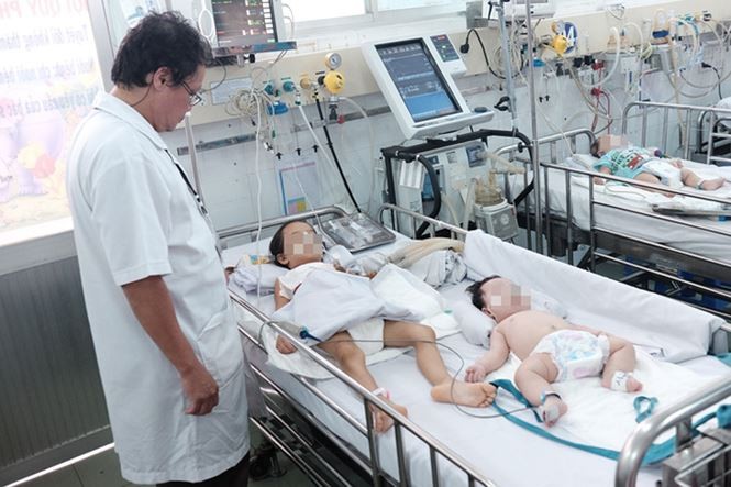 今年初以来，本市登革热住院確診病例激增。（示意圖源：互聯網）