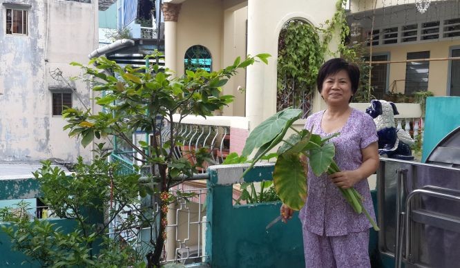 阮氏秋香在陽台種植蔬菜。