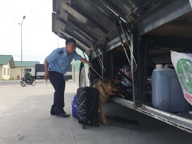 防止原產地欺詐和走私 ảnh 1