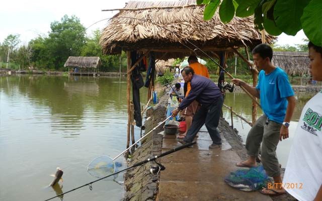 （示意圖源：互聯網）
