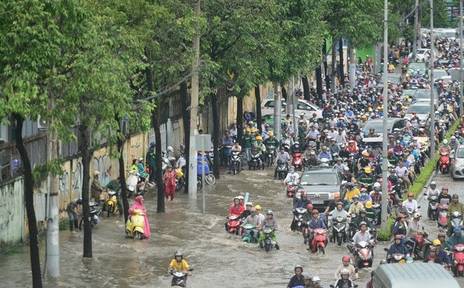 阮友景街修建項目導致路旁的綠樹將被砍伐。（圖源：Zing）