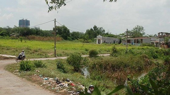 本市南面都市區某項目的農業用地。