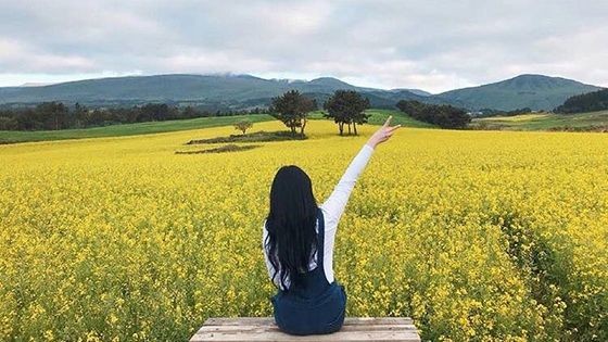 （示意圖源：互聯網）