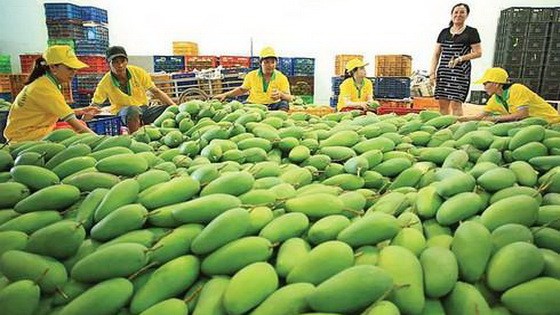 歐盟嚴格檢查進口農產品。（示意圖源：互聯網）