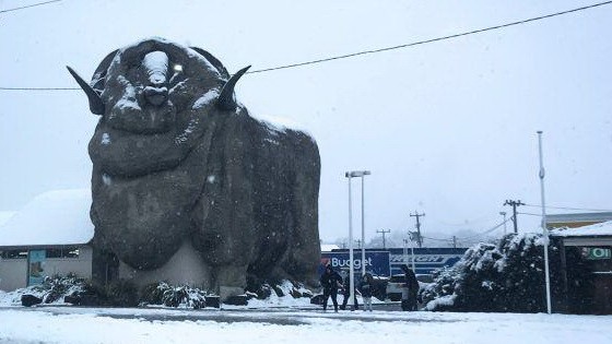 澳大利亞首都堪培拉的居民在17日早上醒來後驚奇地發現整個城市已被皚皚白雪所覆蓋。（圖源：Getty Images）