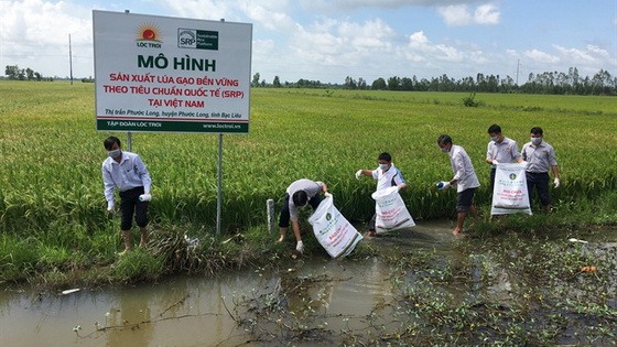 農民在田野上收集農藥廢棄包裝。（圖源：nongnghiep.vn）