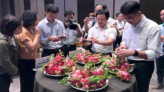 新西蘭在我國投資的項目是鼓勵農民應用blockchain（區塊鏈）技術於火龍果 質量的管理和出口工作。