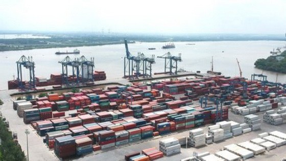 芽皮縣的新港協福港。