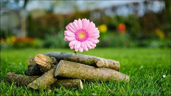 （示意圖源：互聯網）