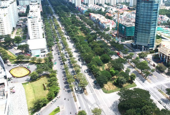 阮文靈大道沿途的綠樹。