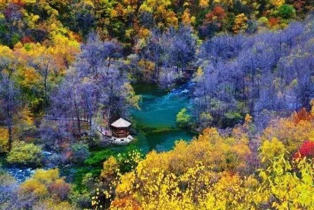 遇見松坪溝　遇見秋天 ảnh 1