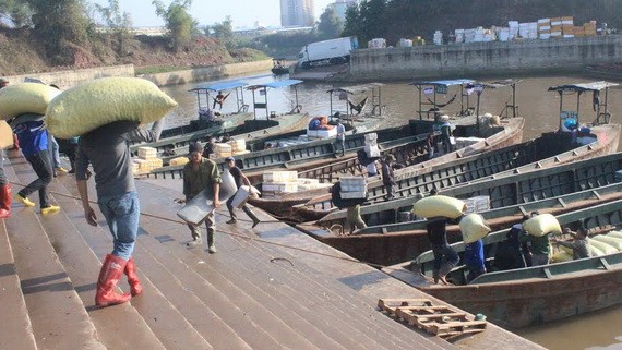 芒街港口搬運農產品準備出口。