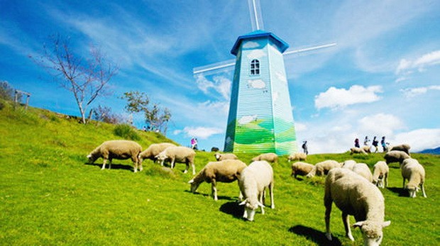 霧上桃源，體驗清境農場之美 ảnh 1