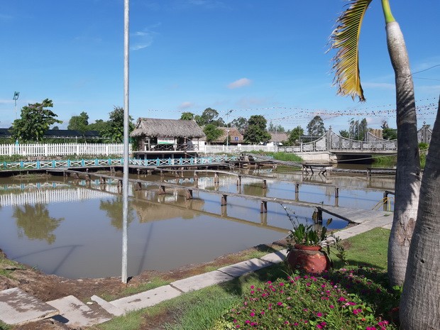 同塔省南方文化旅遊區（上） ảnh 3