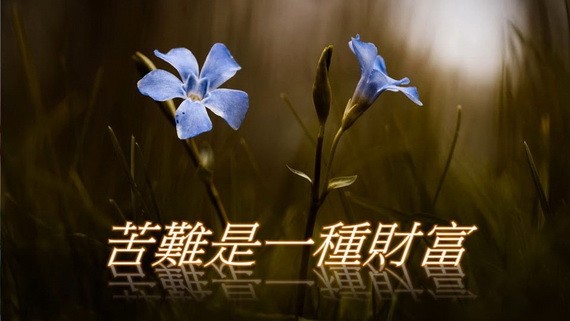 （示意圖源：互聯網）