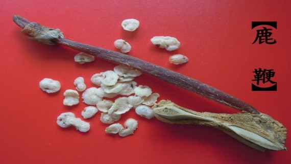 （示意圖源：互聯網）