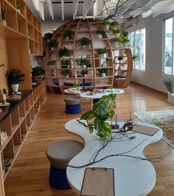 學校關注給孩子灌輸綠色空間意識。