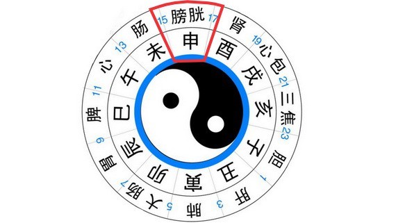 申時養生，少用腦多排毒。（示意圖源：互聯網）