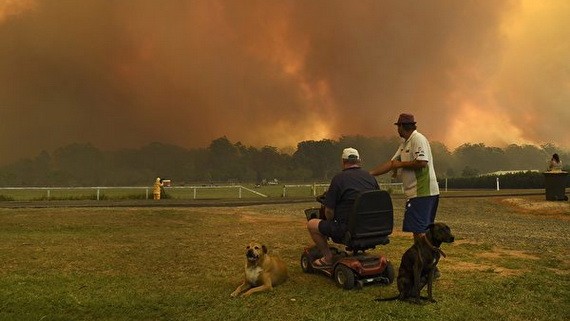 當地時間 11月12日，叢林大火在悉尼以北約600公里的Nana Glen小鎮附近肆虐。（圖源：AFP）
