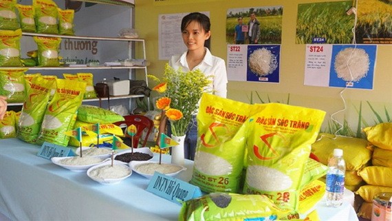 ST大米系列一直以來深受國內消費者的歡迎。（圖源：互聯網）