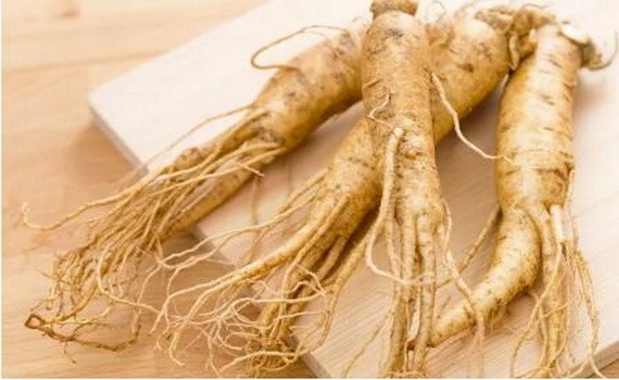 人參歷來被視為“百草之王”。（示意圖源：互聯網）