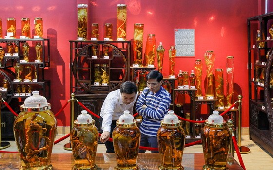 玉靈參博物館一隅。（圖源：瓊陳）