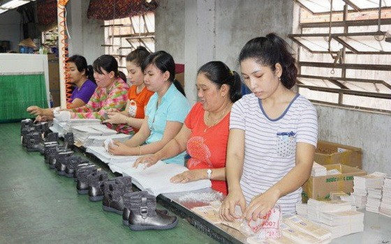 領取一次性社保金將令勞工失去長遠保障。