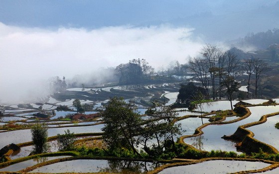 （示意圖源：互聯網）