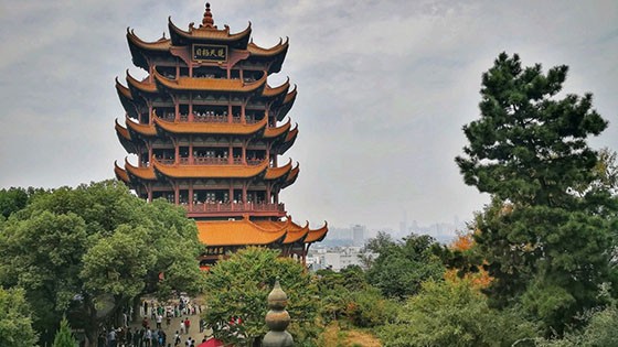 （示意圖源：互聯網）