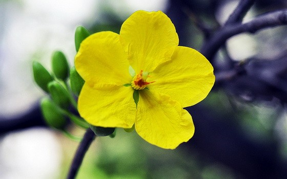 （示意圖源：互聯網）