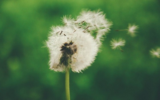 （示意圖源：互聯網）