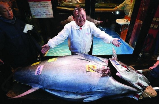 木村清（中）拍得吞拿魚王。（圖源：互聯網）