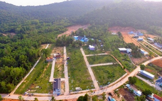 圖為富國島沿外松樹街旁的數十公頃農業用地被劃分成小塊出讓。（圖源：民智）