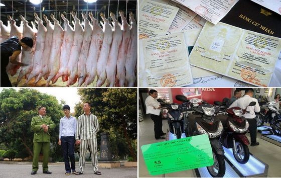 （示意圖源：田升）