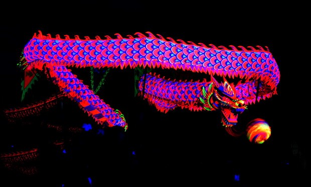 第十一郡龍獅大匯演迎新春開幕 ảnh 1