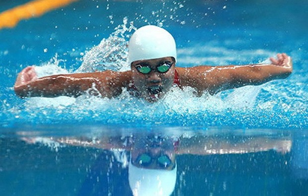 2019年越南體壇成功的一年 ảnh 1